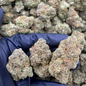 Birthday Cake Strain