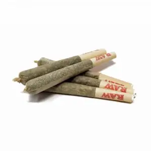 Pre Rolled Joints