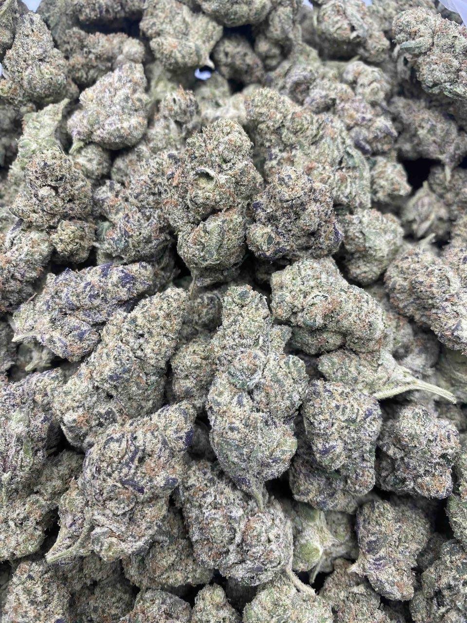 Night Queen Weed Strain